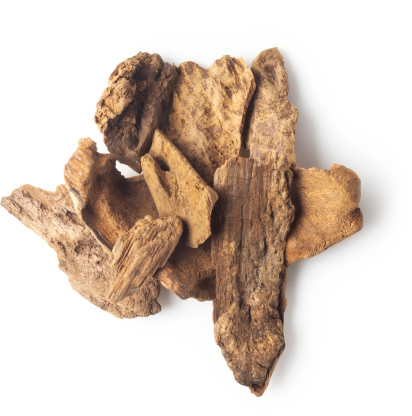 Oudh Oudh