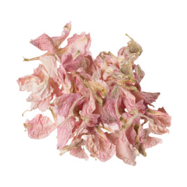 Pink Delphinium Petals delphiunium-petals