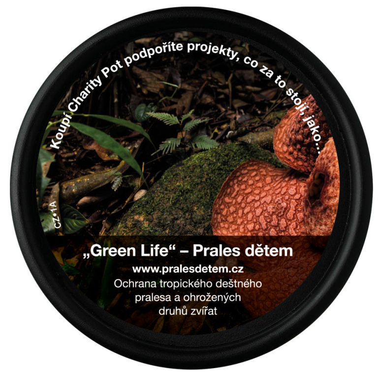 Green Life Green Life
