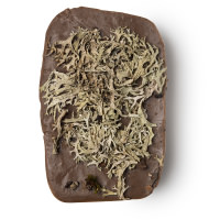 Devils Knightcap Soap devils knightcap soap