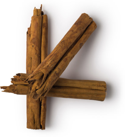 Cinnamon Cinnamon