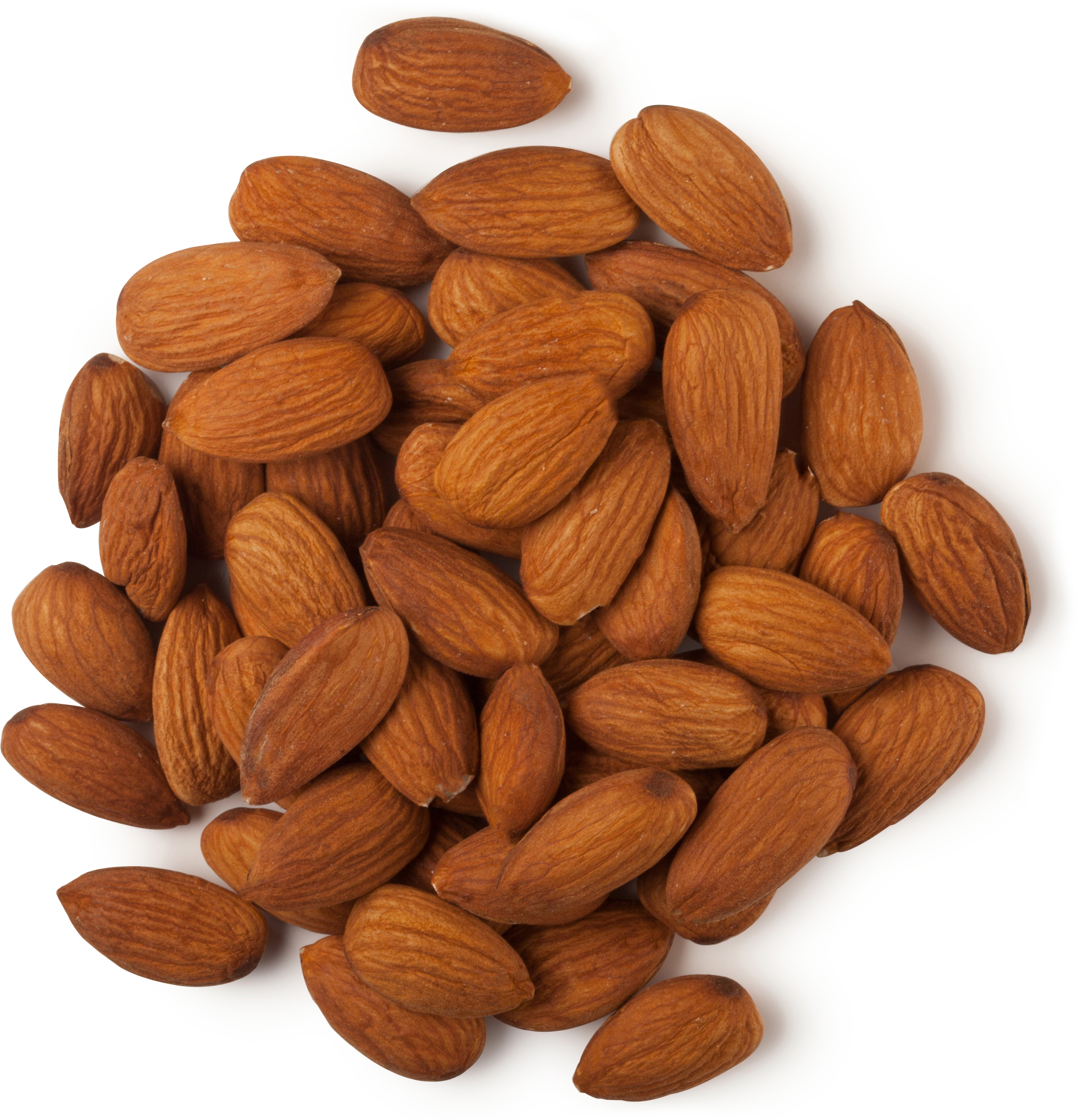 Almond Oil Almond Oil