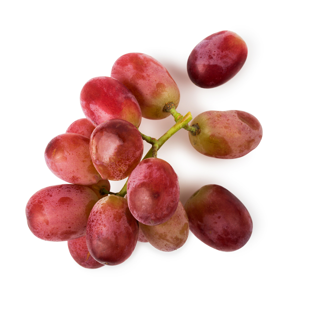 grapeseed 1