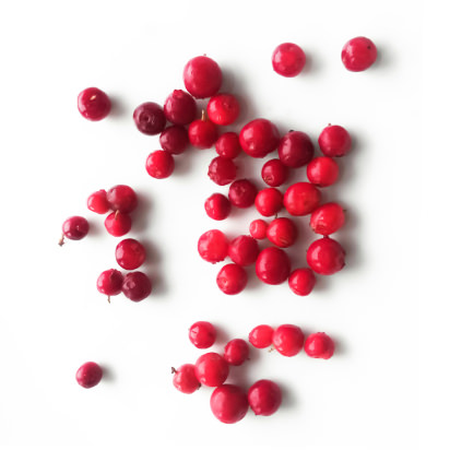 lingonberry lingonberry