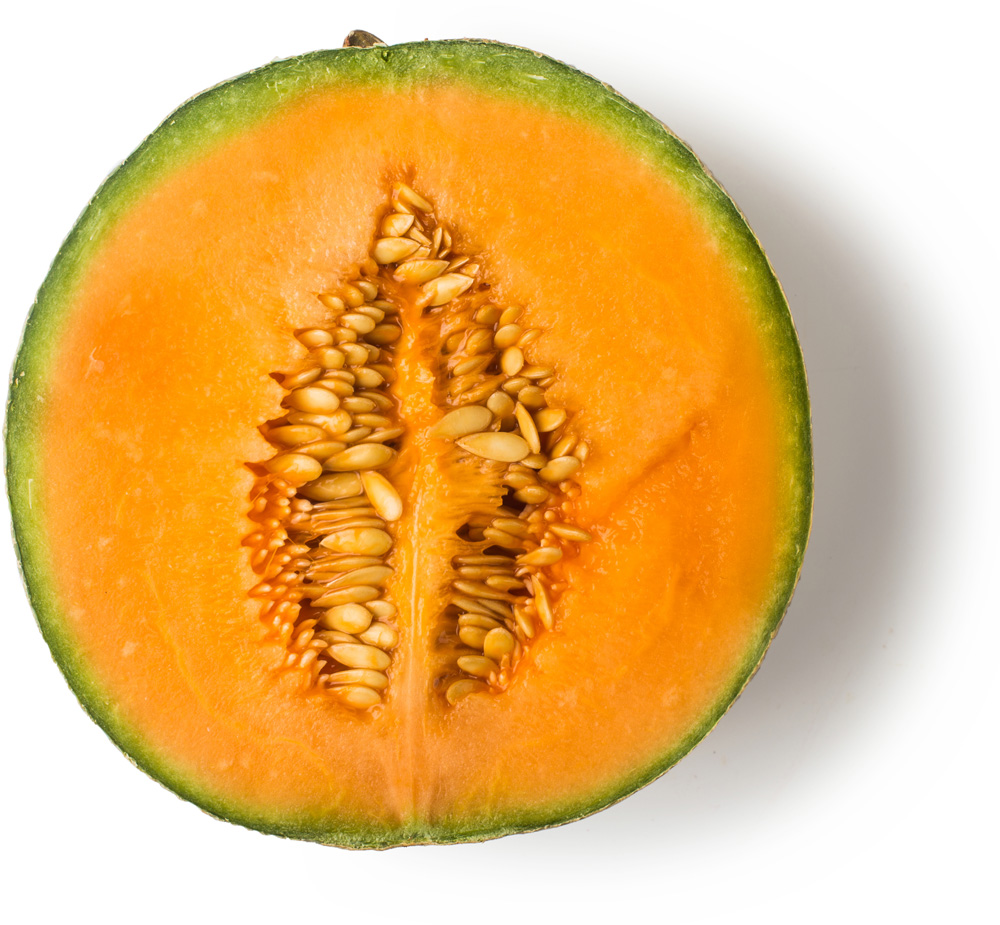 Fresh Cantaloupe Melon Lush Fresh Handmade Cosmetics UK