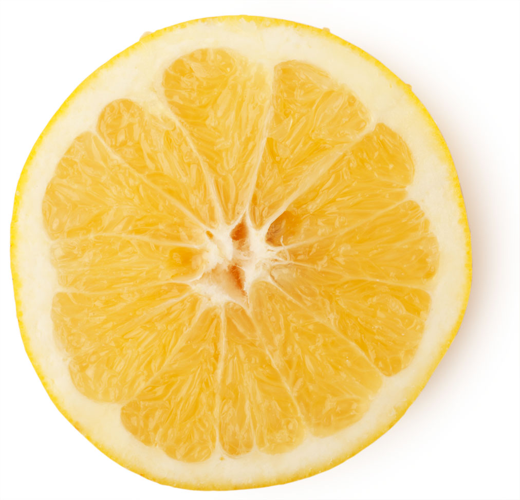 white grapefruit buy white grapefruit buy