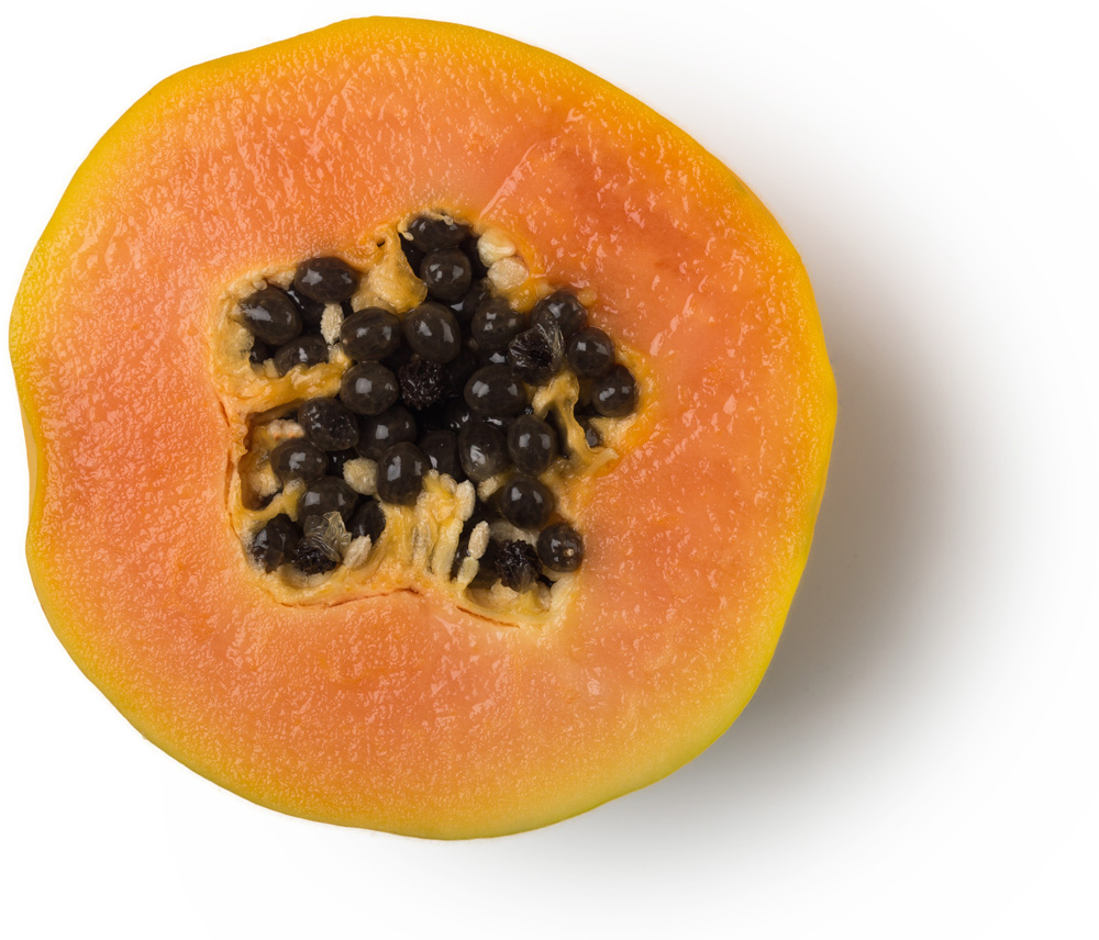 Fresh Papaya | Lush Fresh Handmade Cosmetics UK