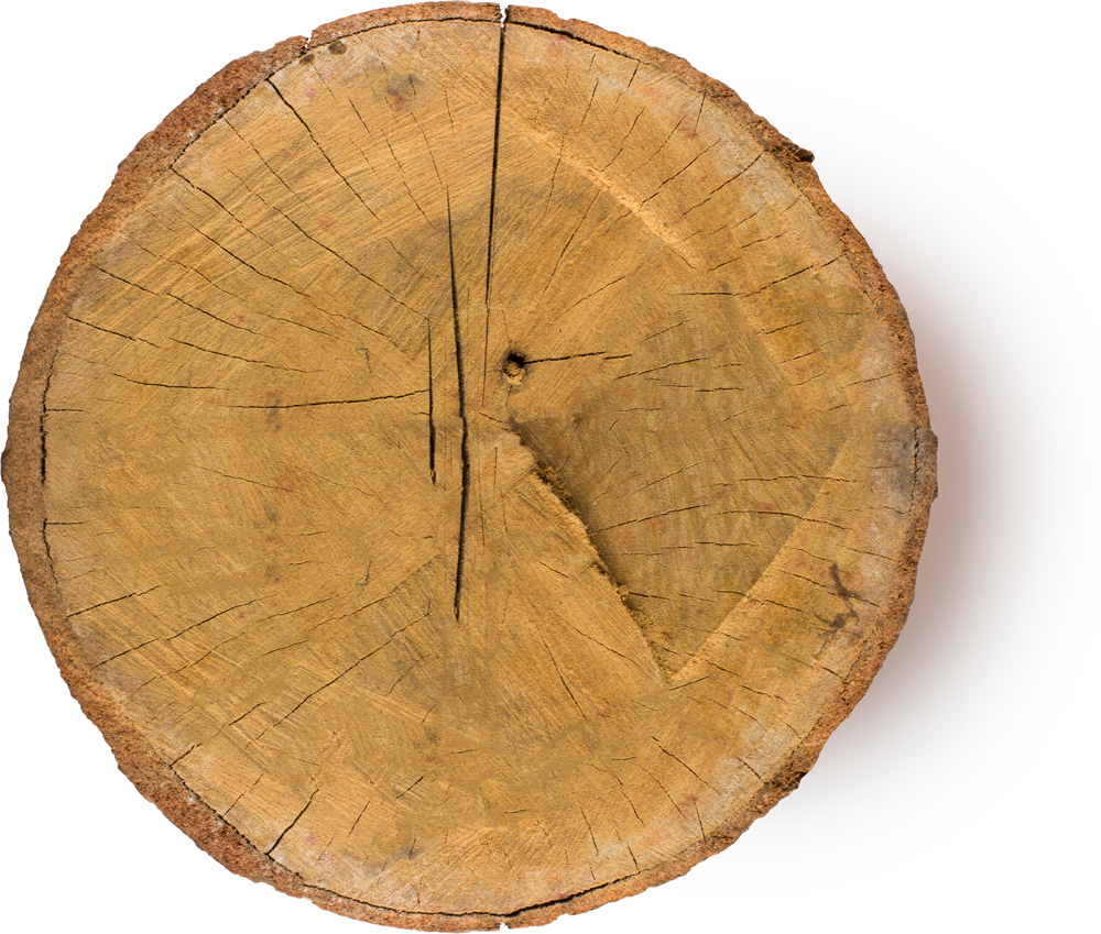 Rosewood Rosewood