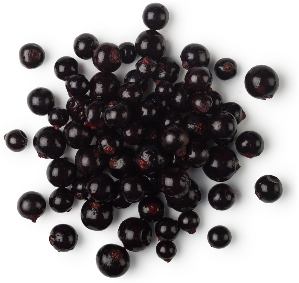 Blackurrant Absolute Blackurrant Absolute