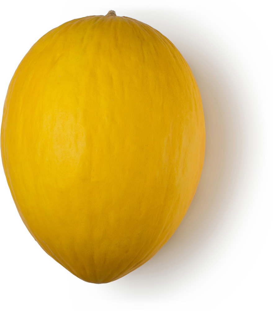 Honeydew Melon Lush Fresh Handmade Cosmetics UK