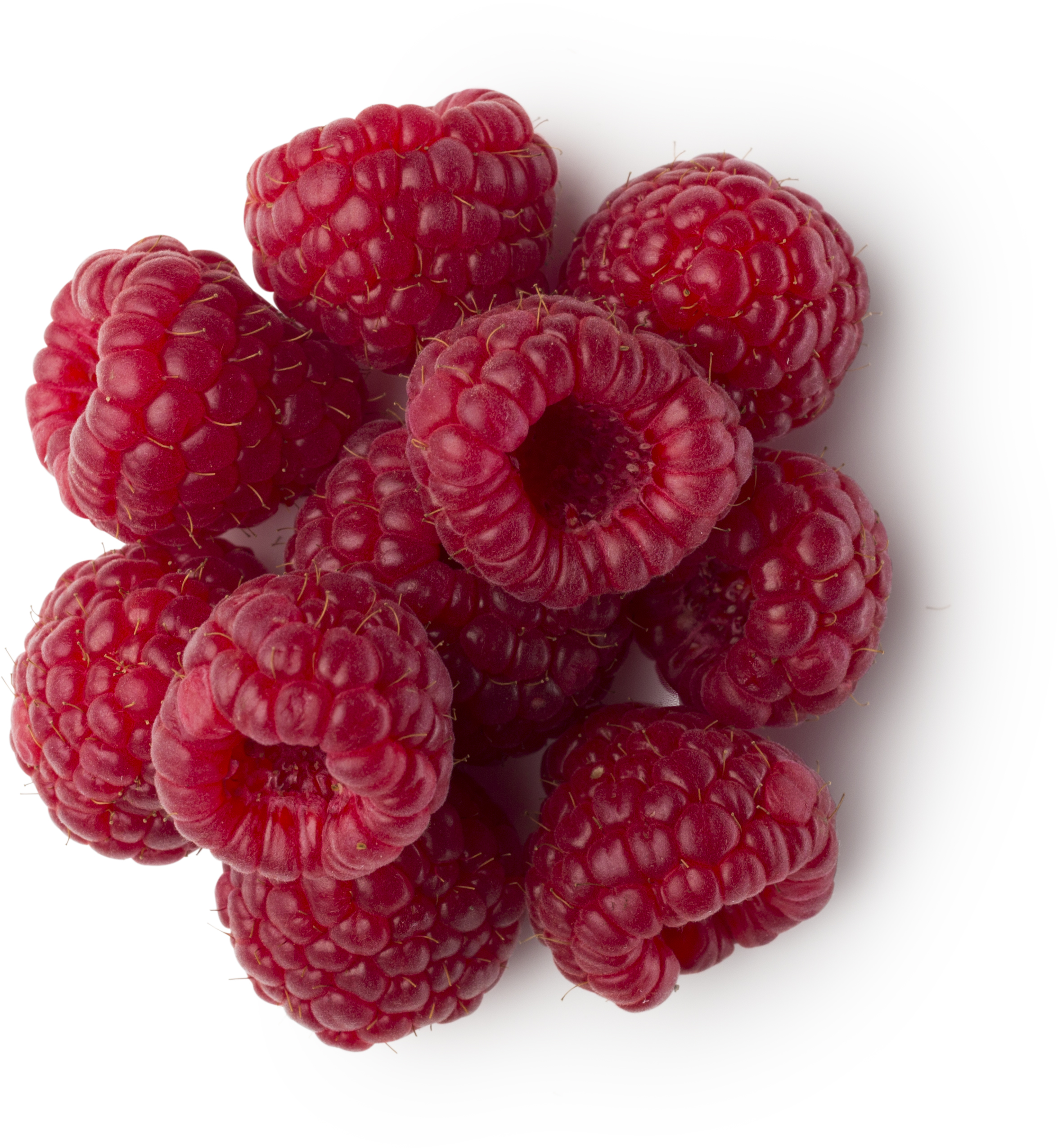 Cold Pressed Raspberry Seed Oil Lush Fresh Handmade Cosmetics UK