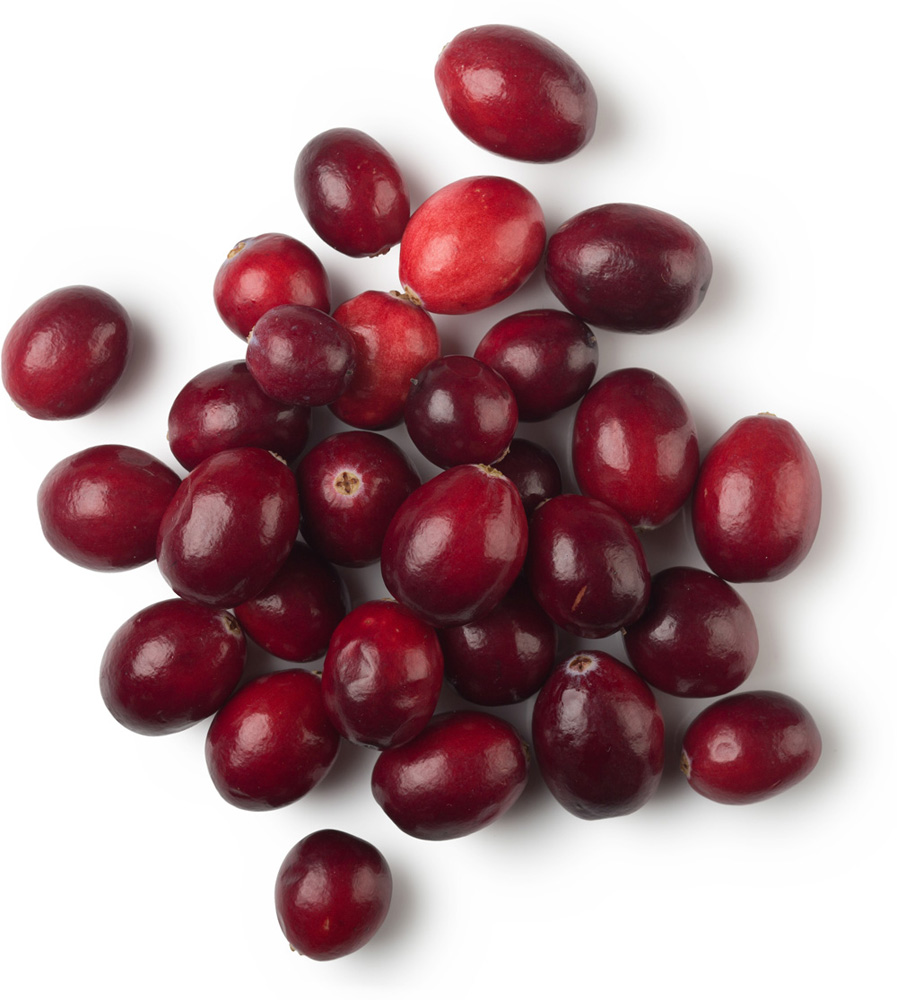 Cranberry Infusion Cranberry Infusion
