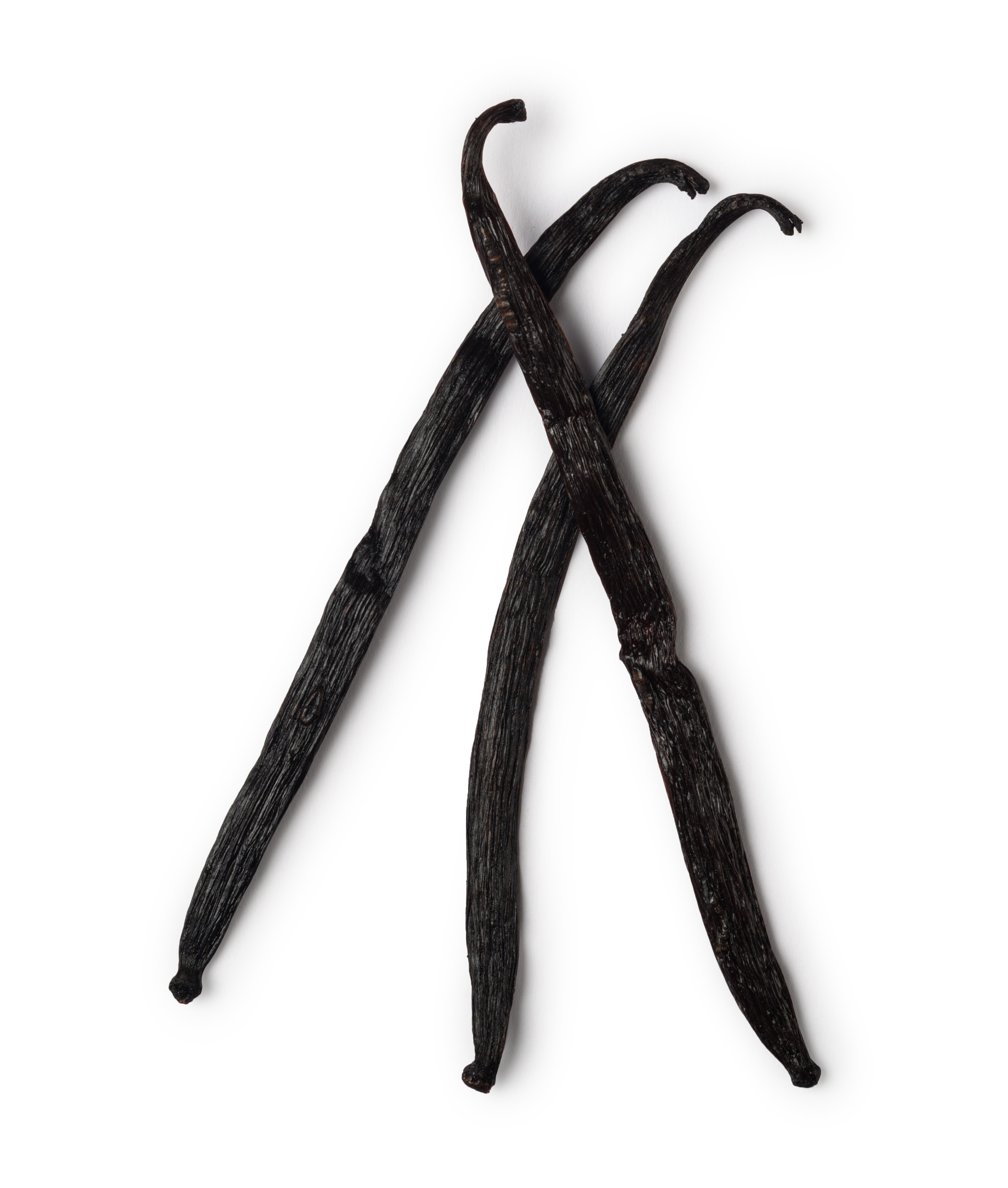 Vanilla Pod Extract Lush Fresh Handmade Cosmetics UK