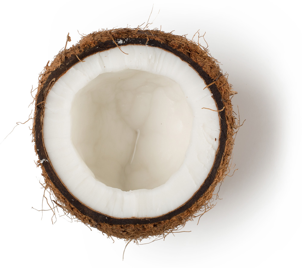 sumatra coconut