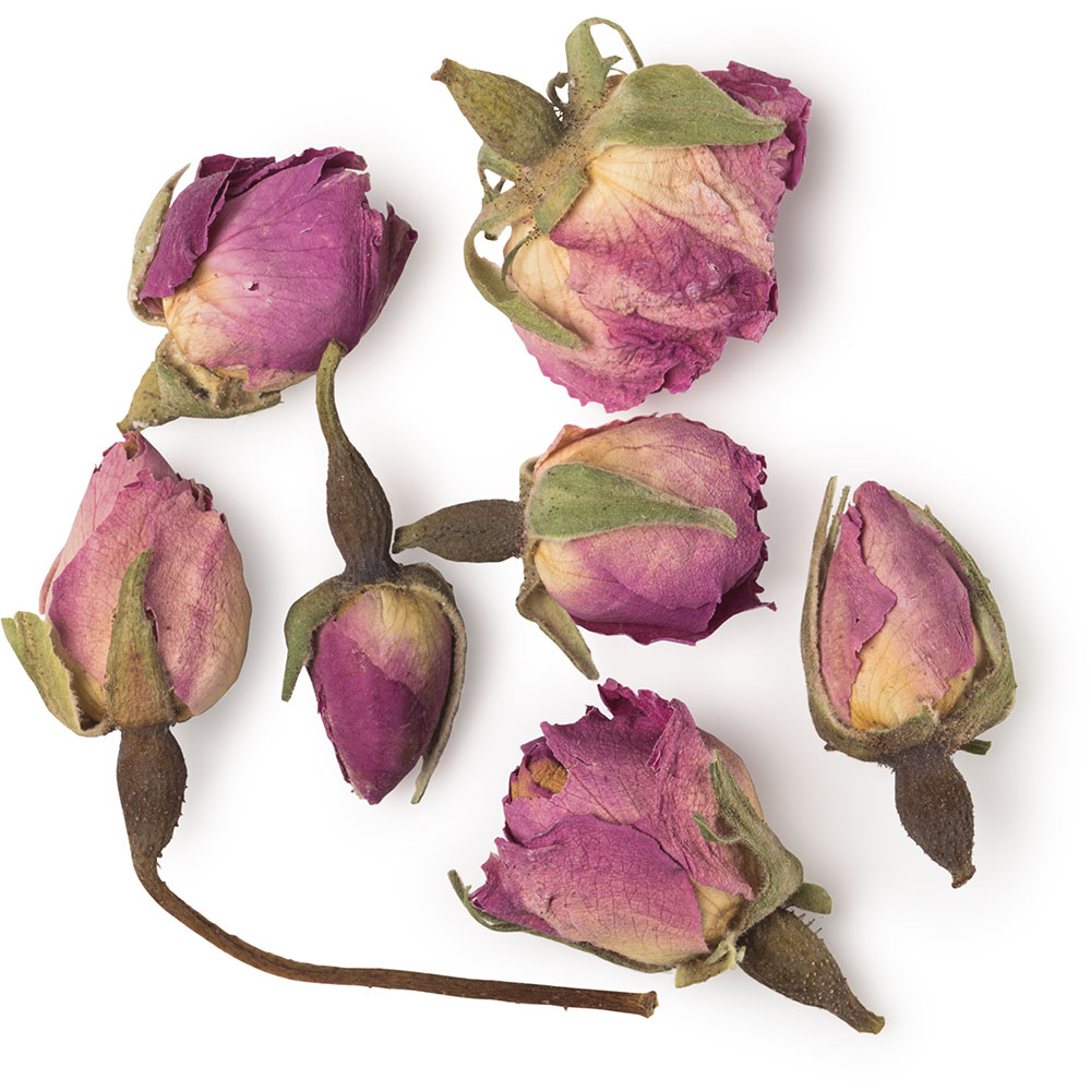 Seven Rosebud seven-rosebud