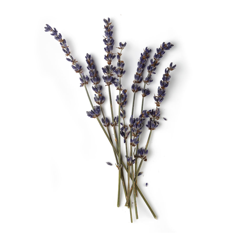 Lavender Syrup Lush Fresh Handmade Cosmetics Uk