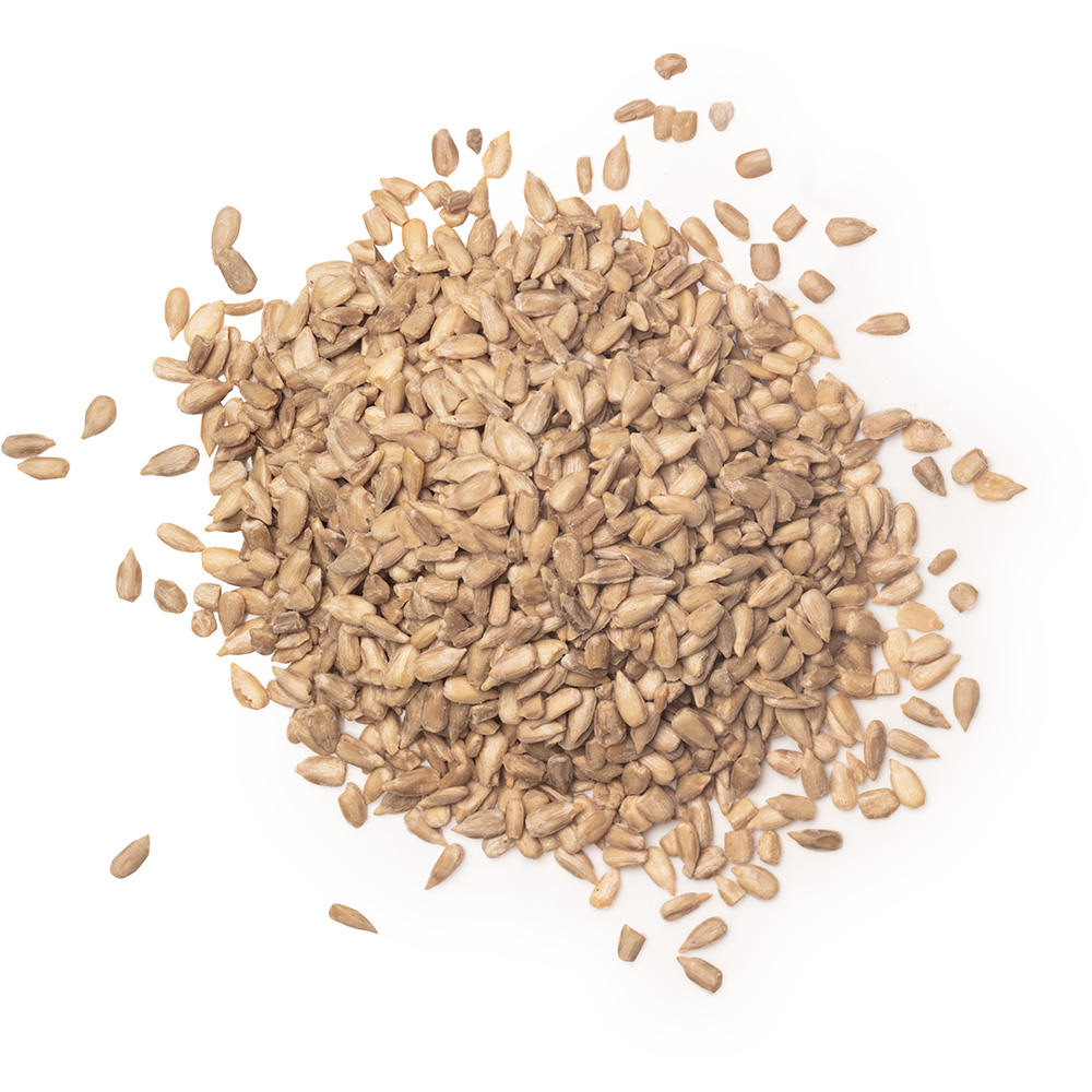 Sunflower seeds Sunflower seeds