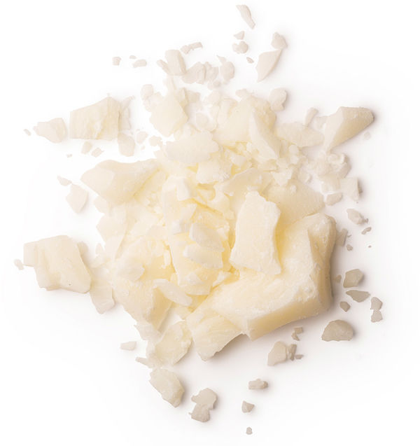 Rhus Succedanea Fruit Cera (Japanwachs) LUSH Deutschland