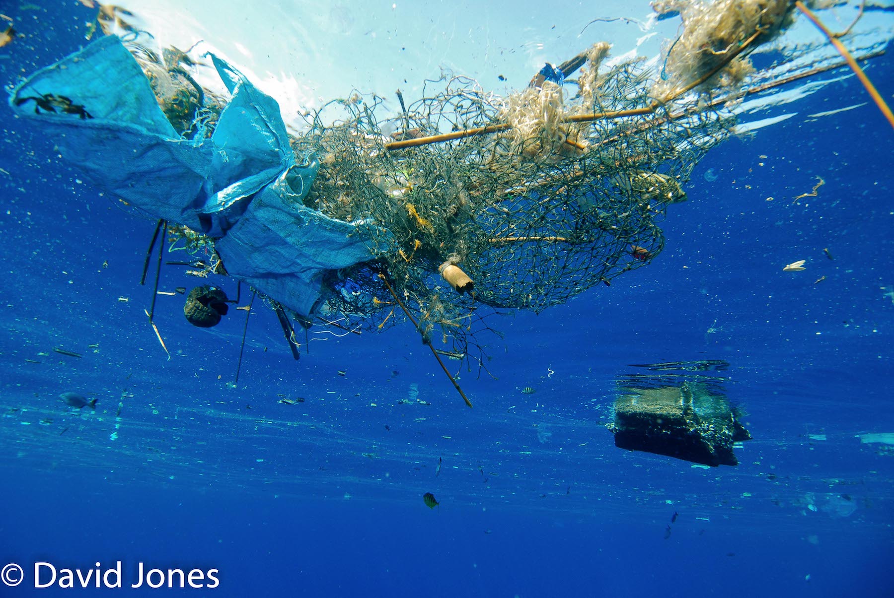 Tackling ocean plastic pollution is in the hands of the consumer - Lush ...