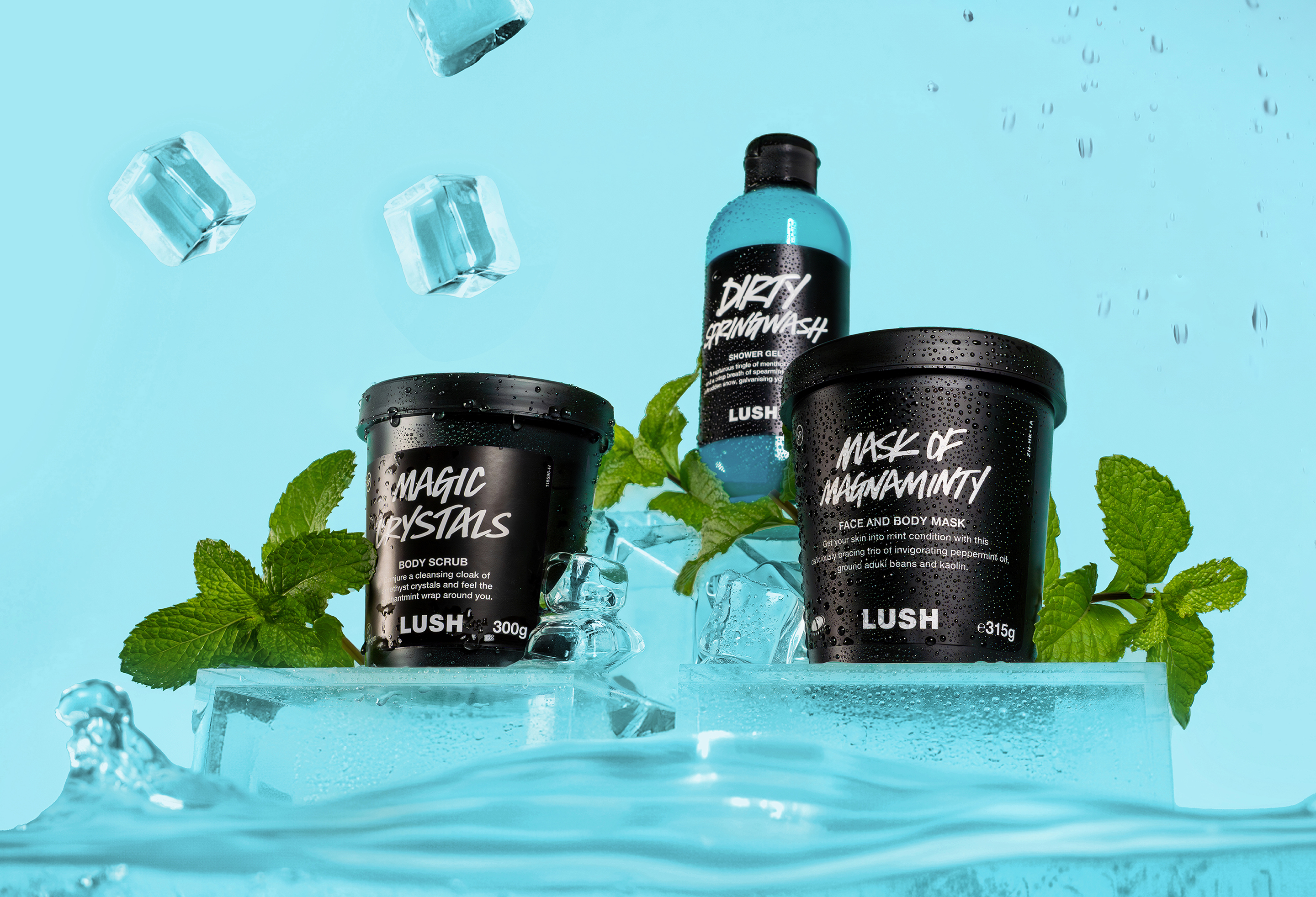 楽天市場】公式 LUSH ダーティスプリングウォッシュ ボディ