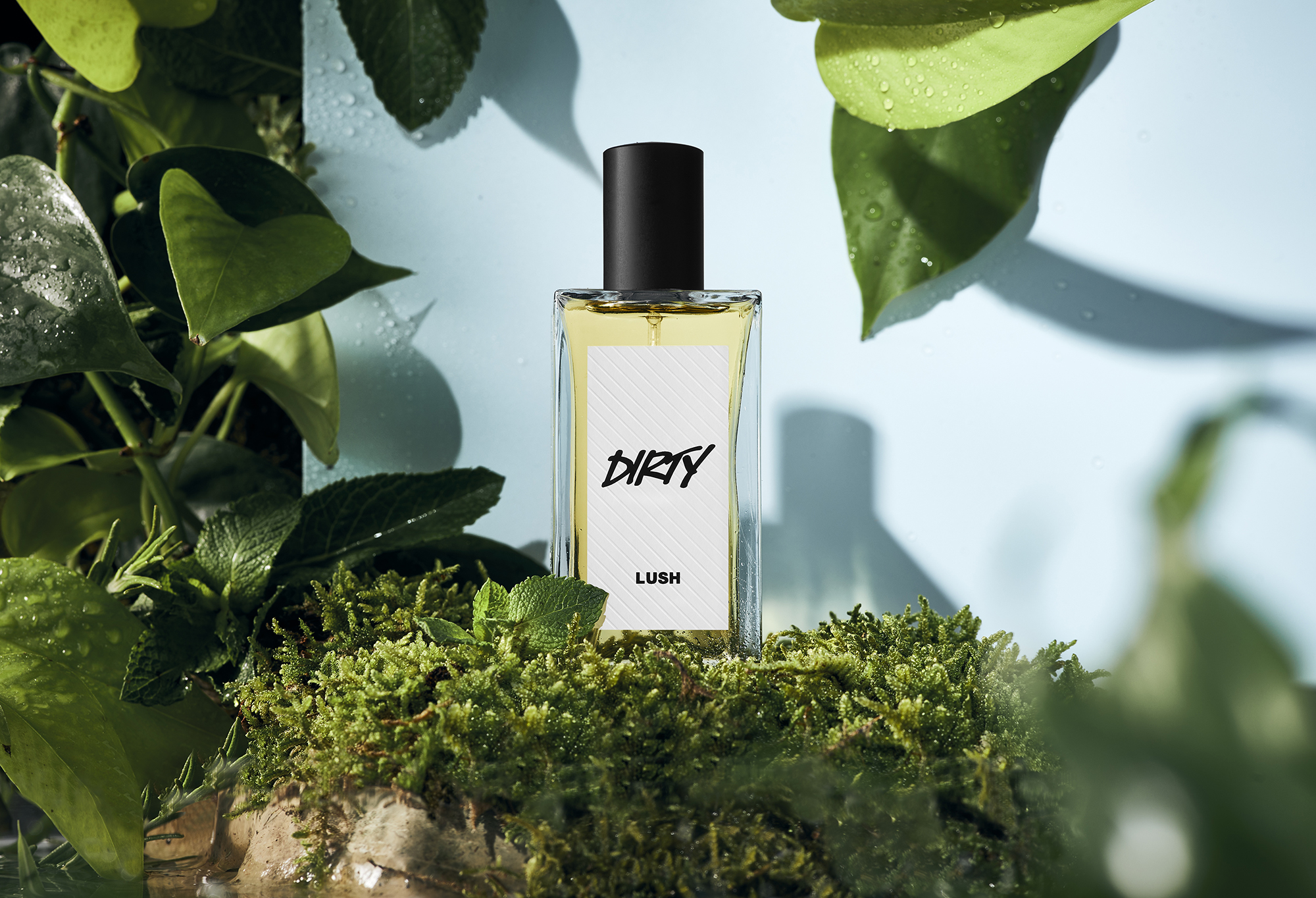 香水・ボディスプレー・フレグランス一覧 | LUSH | LUSH