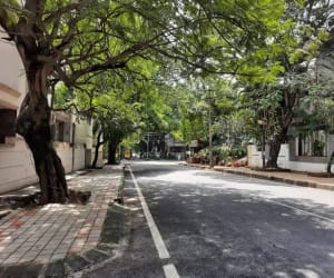     Jayanagar sexy escorts