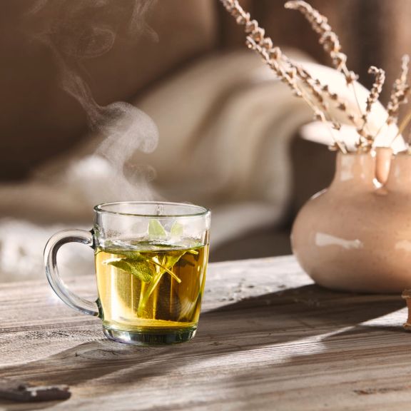 Depurati dopo le feste natalizie con una tisana salvia e limone