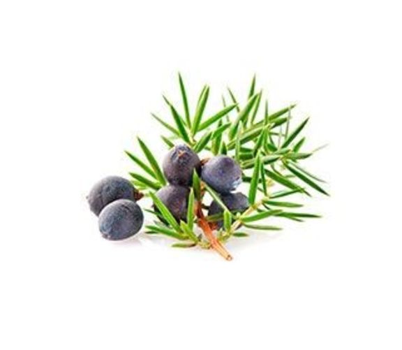 Wacholderbeeren