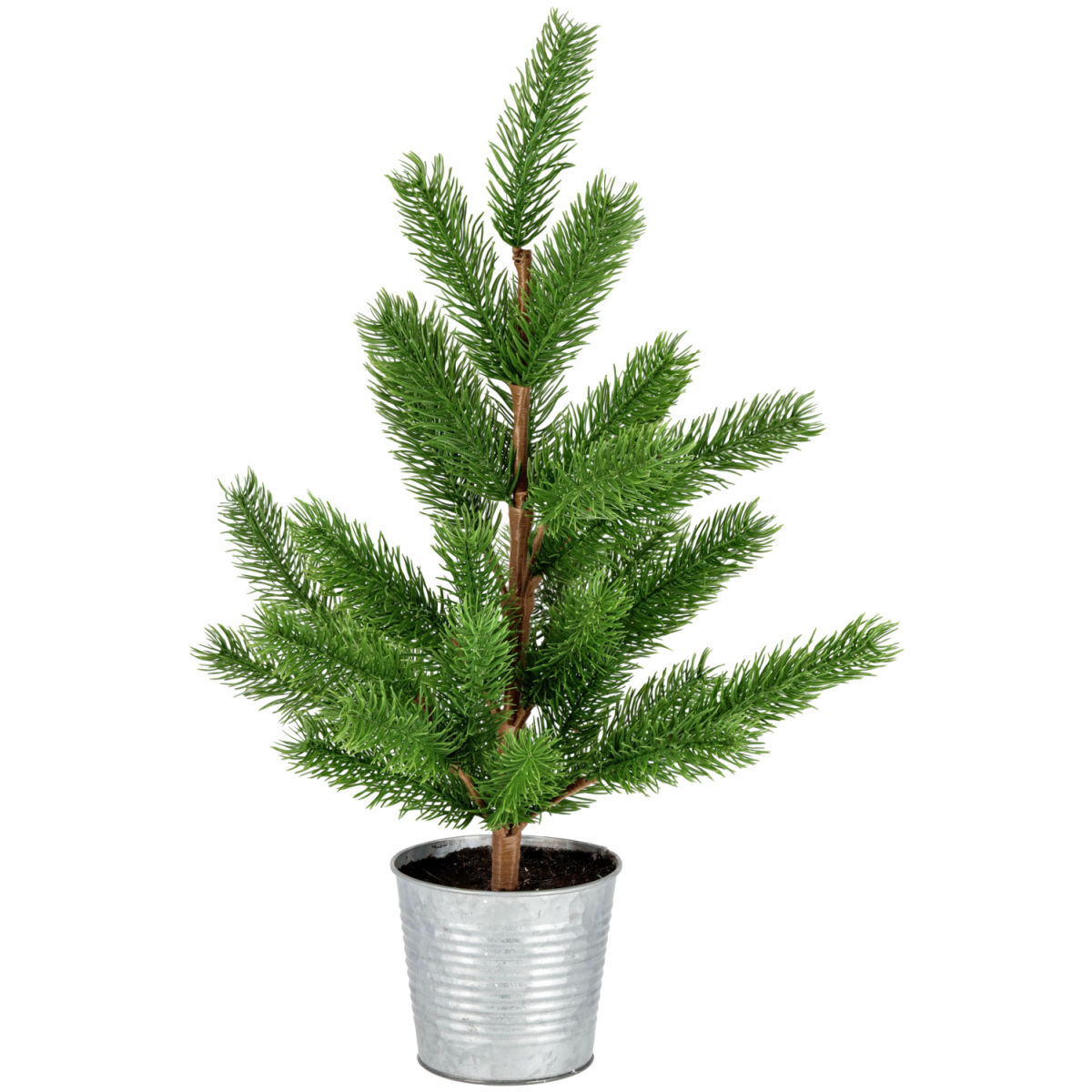 Abete  Albona; 25x55 cm (ØxH); verde/marrone