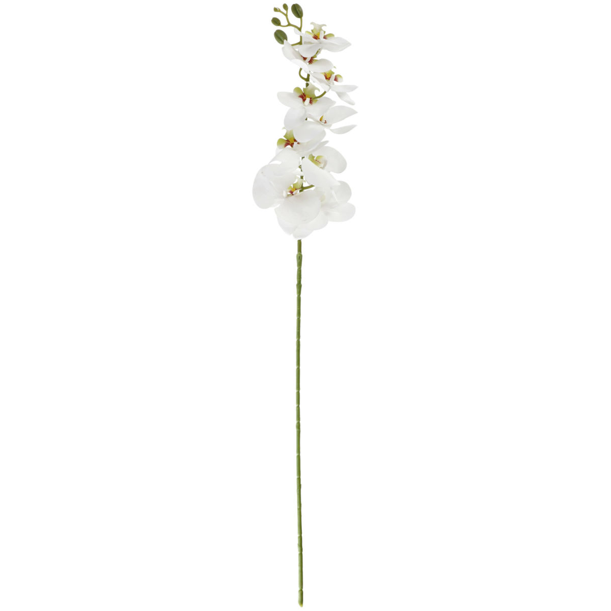 Ramo di orchidea Macey VEGA; 83 cm (L); bianco/verde