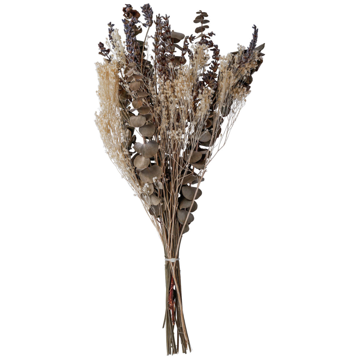 Fascio di fiori secchi Kazumi VEGA;