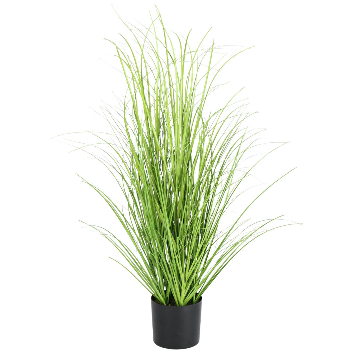 Pianta artificiale Sanah; 76 cm (H); verde/nero