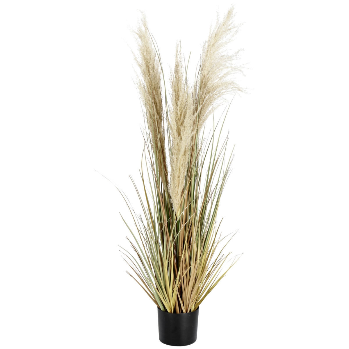 Pianta artificiale Pampas Sanaja VEGA; 126 cm (H); verde/naturale/nero