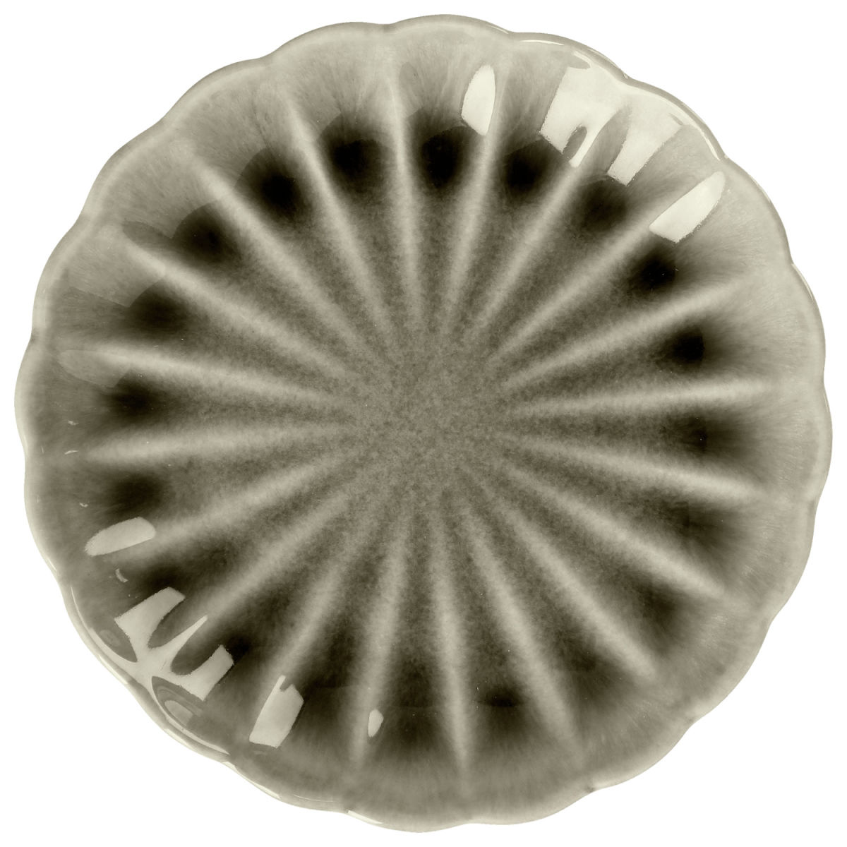 VEGA Teller Flora flach 15.2x2.3 cm (ØxH); grau; rund; 6 Stück / Pack