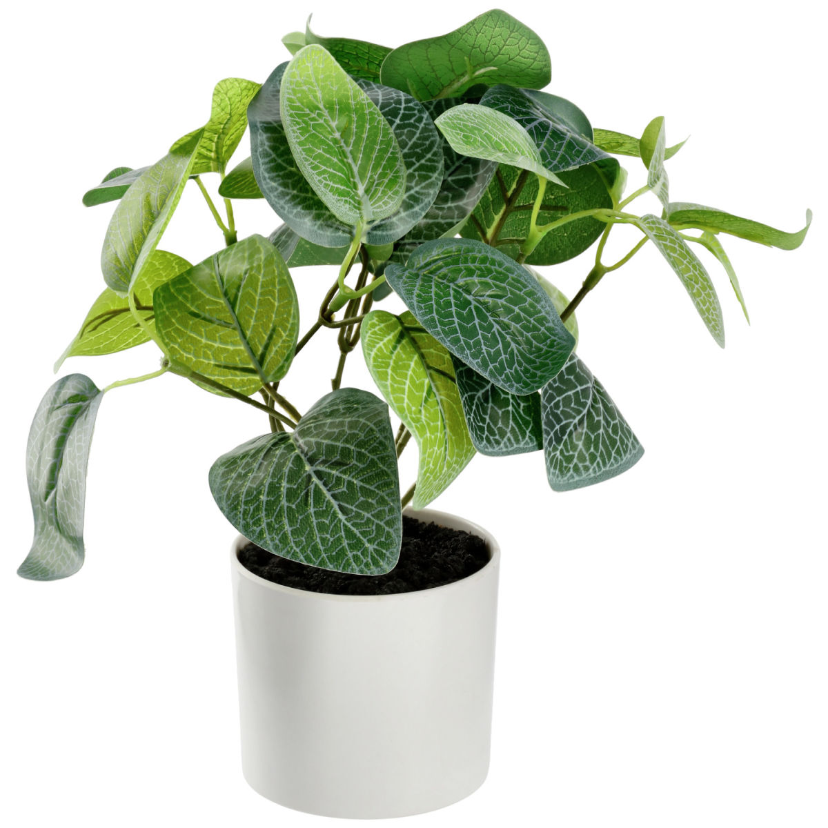Pianta artificiale Elano; 25 cm (H); verde/bianco