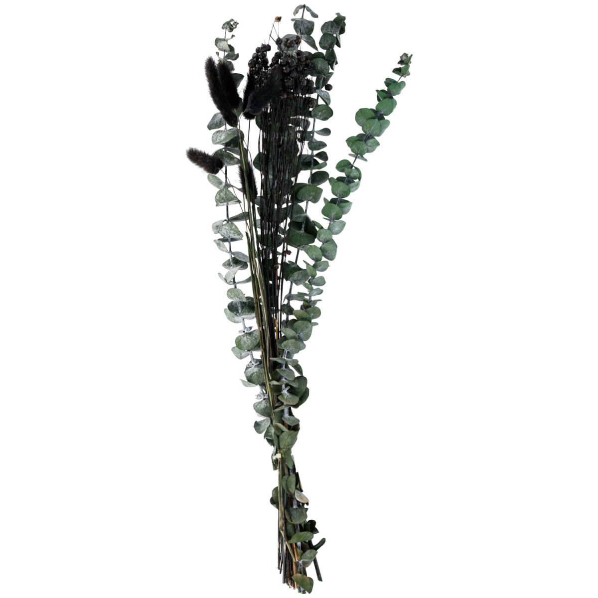 Mazzo di fiori secchi Benira; 51 cm (L); verde scuro/nero