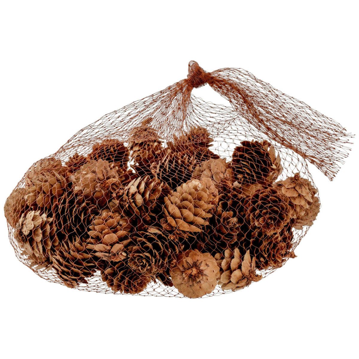 Tannenzapfen Brinda 2 cm (Ø); braun