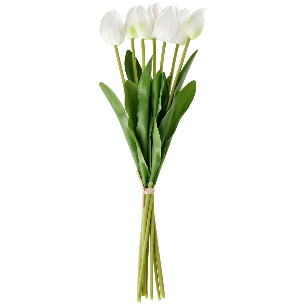 Tulpenbund Talea 48 cm (L); weiß