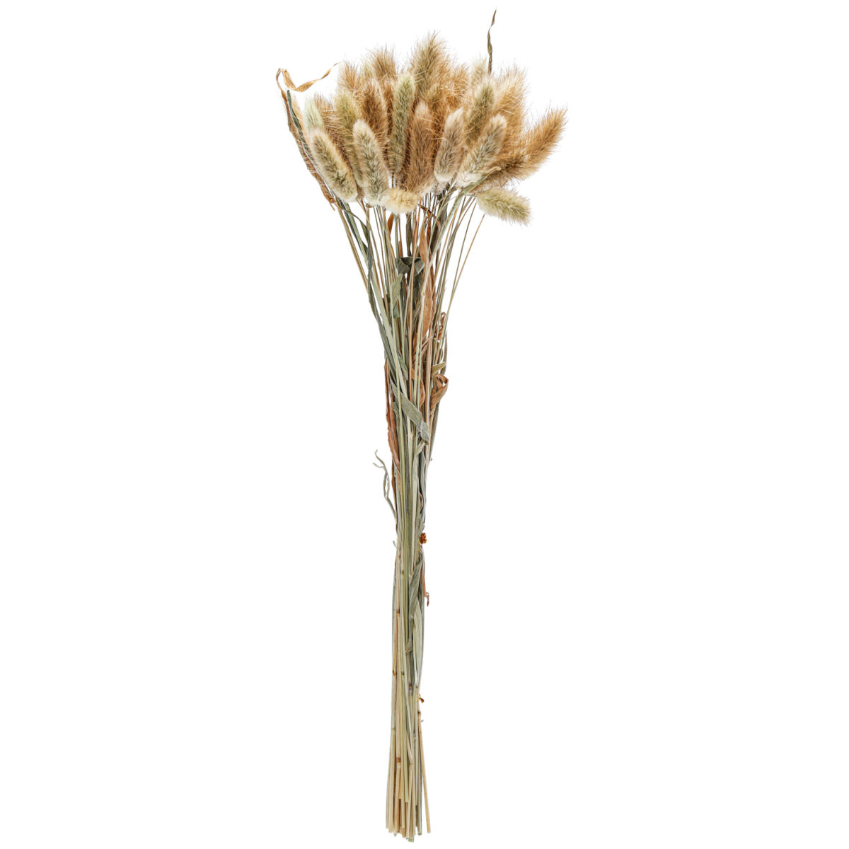 Trockenblumenbundle Ajda 40 cm (L); natur