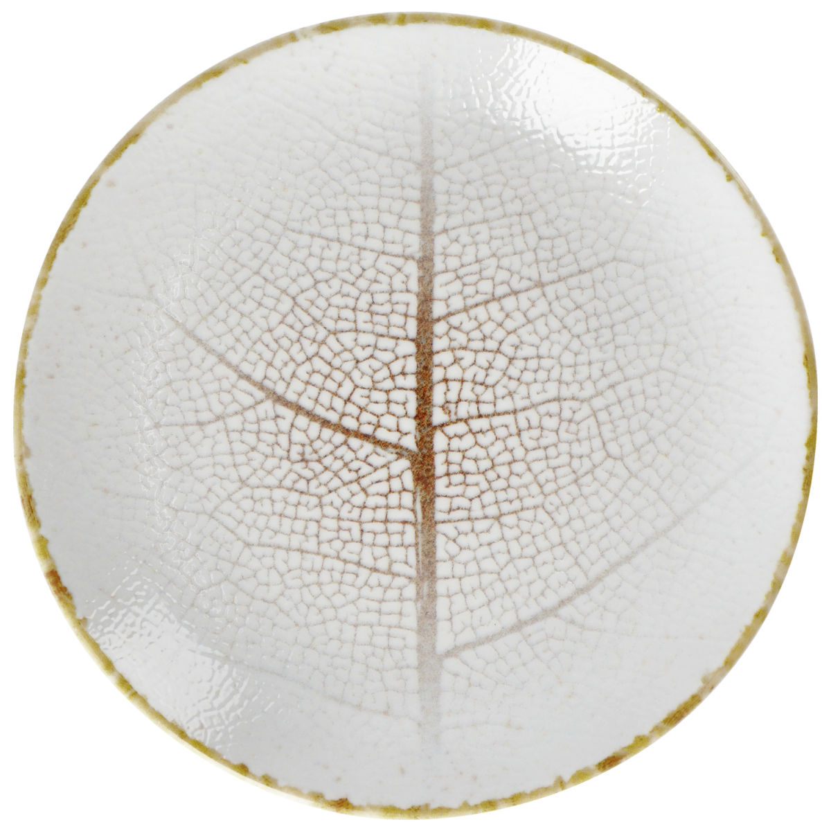 Piatto piano Pianta VEGA; 20.5 cm (Ø); bianco/marrone; rotonda; 6 pz. / confezione