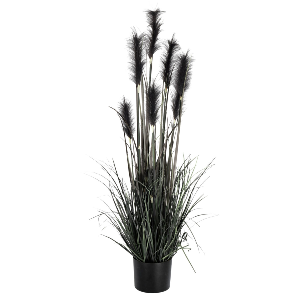Pianta artificiale pampas Sanjah VEGA; 126 cm (H); nero