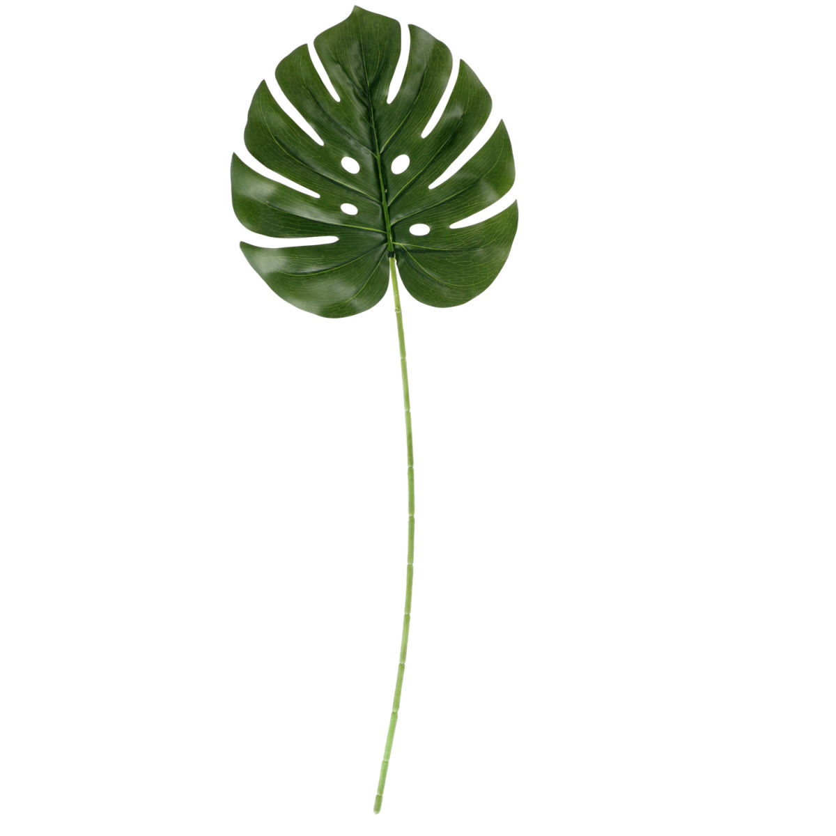 Foglia di Monstera Maaika VEGA; 74 cm (L); verde