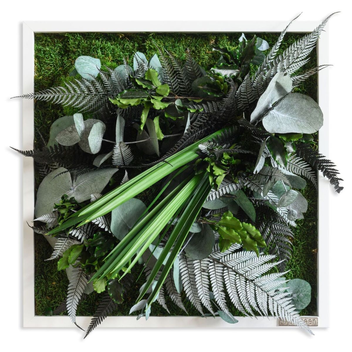 styleGREEN Pflanzenbild im Dschungeldesign 35x35cm Vollholz (weiß) 35x35 cm (LxB); grün