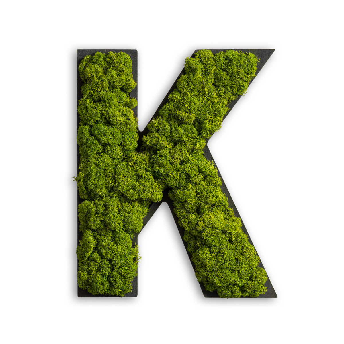 styleGREEN Piktogramm Buchstabe Islandmoos 26x20 cm (LxB); grün; Prägung K