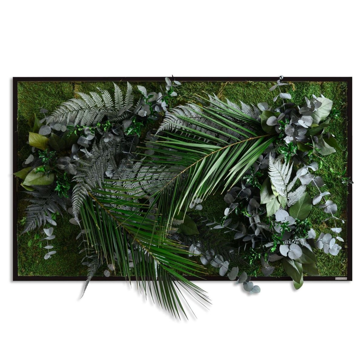 styleGREEN Pflanzenbild im Dschungeldesign 100x60cm Vollholz (schwarz) 100x60 cm (LxB); grün