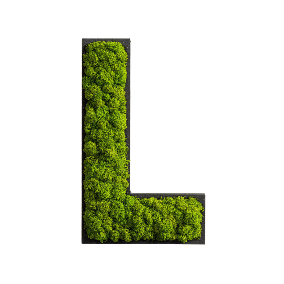 styleGREEN Piktogramm Buchstabe Islandmoos 25x15 cm (LxB); grün; Prägung L