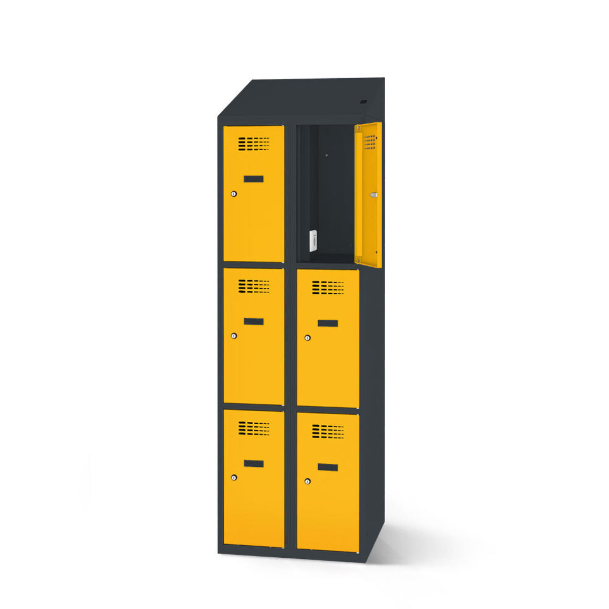 rotstahl Fächerschrank mit Ladefunktion 6 Fächer mit anthrazitgrauem Korpus 60x200 cm (BxH); gelb