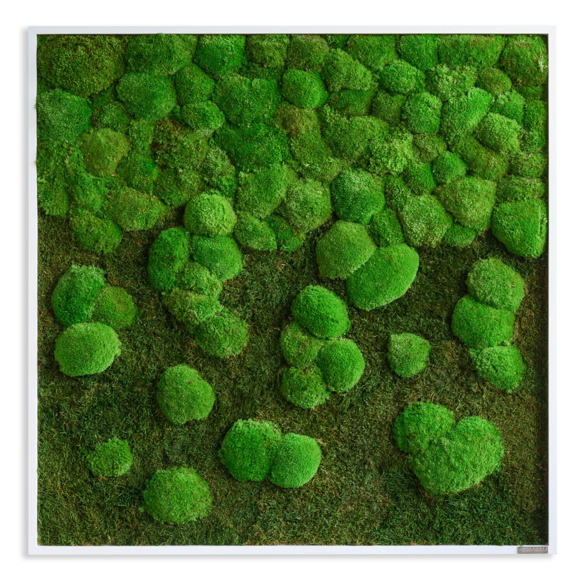 styleGREEN Wald- und Kugelmoosbild Verlauf 80x80cm 80x80 cm (LxB); grün