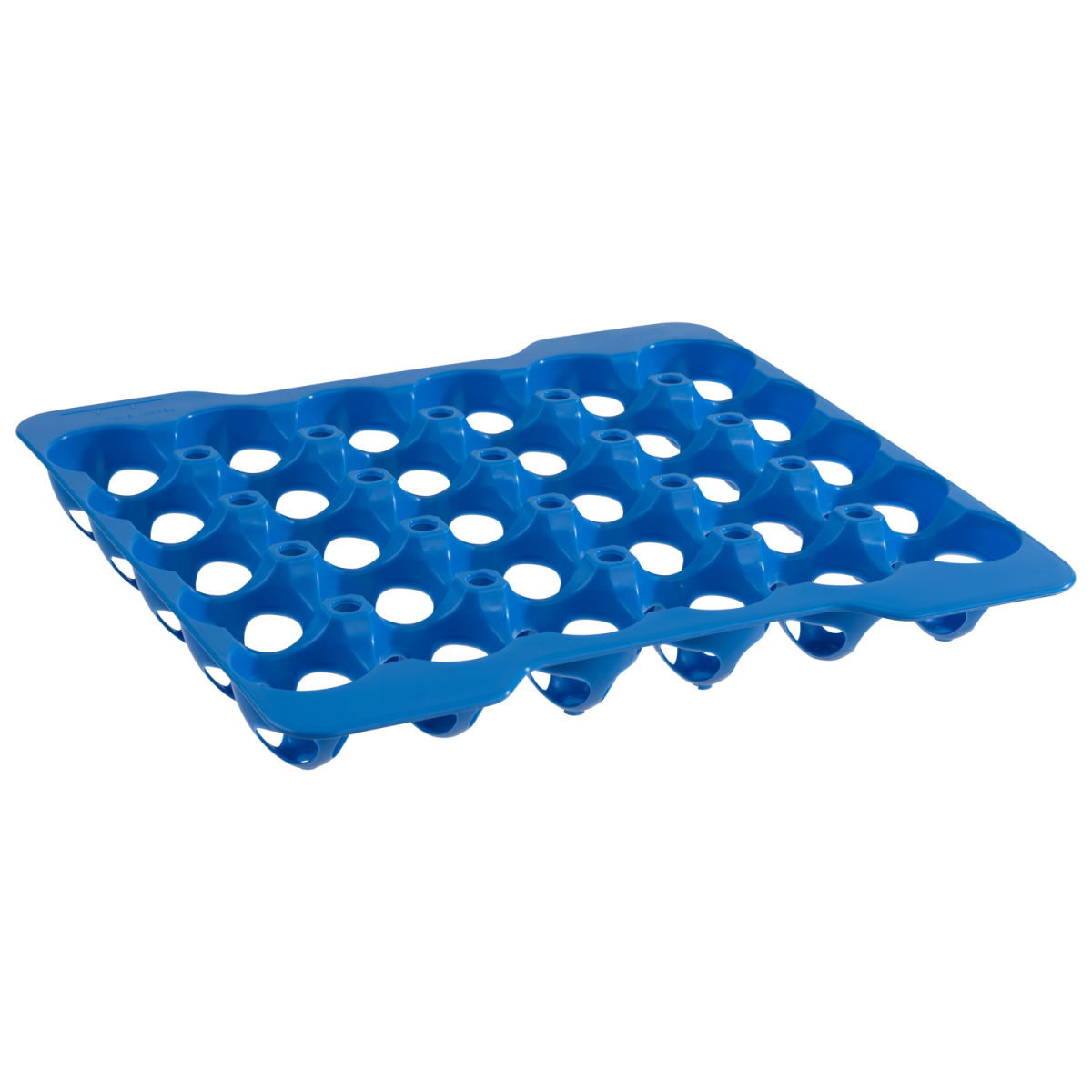 APS 4 Lagen zu Eier-Box 28x28x6.5 cm (LxBxH); blau; rechteckig