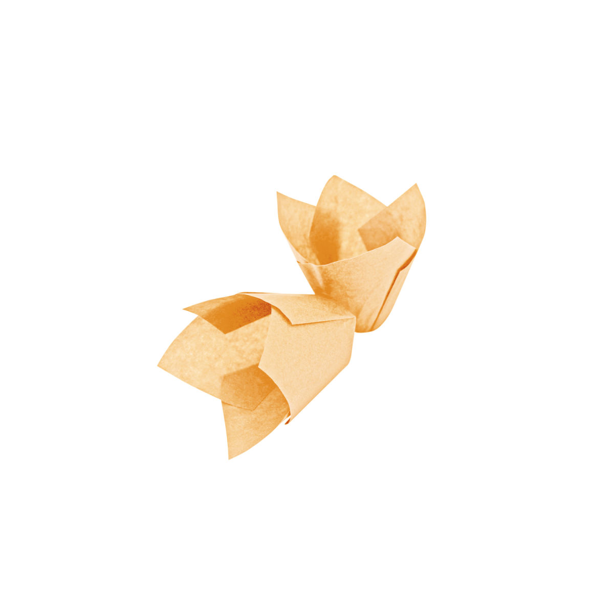 Schneider Muffinform 5x5x5x5.5 cm (LxBxØxH); orange; 1000 Stück / Pack